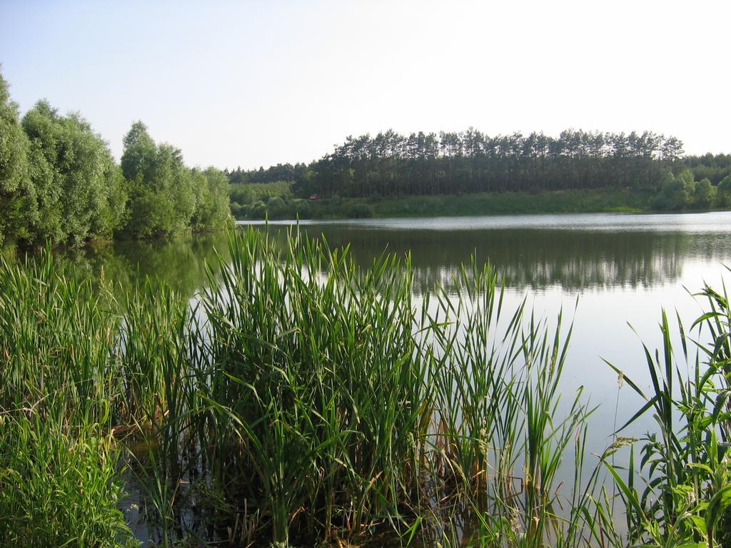 Hotel Abrava Дравско Поморске Екстериор снимка